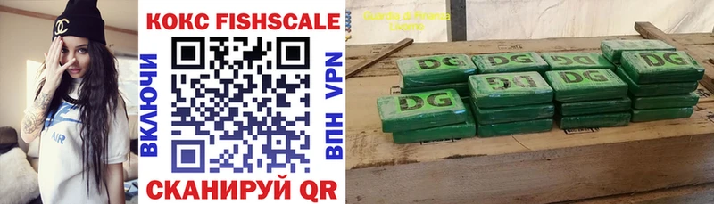COCAIN Fish Scale  Купить  Чайковский 