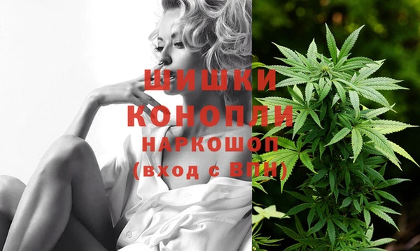 амф Балахна